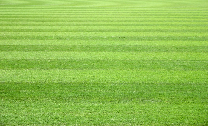 beter gras door infrarood verwarming